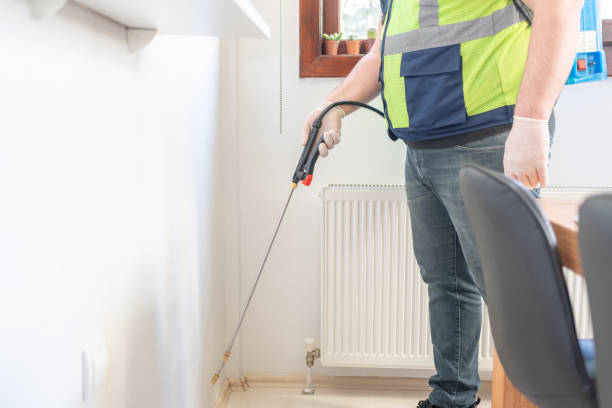 Best Pest Removal Services  in Pirtleville, AZ