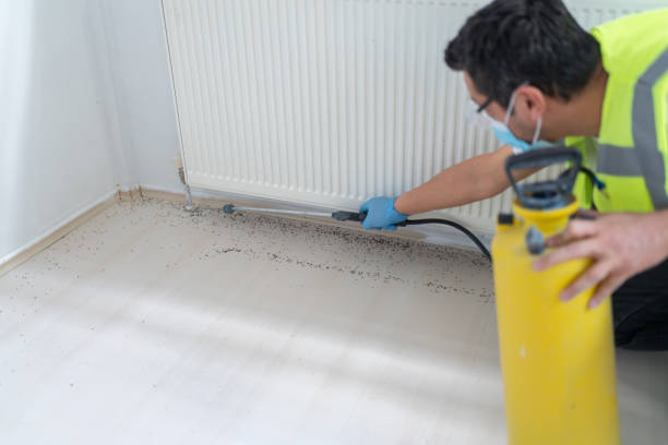 Best Best Pest Control Companies  in Pirtleville, AZ